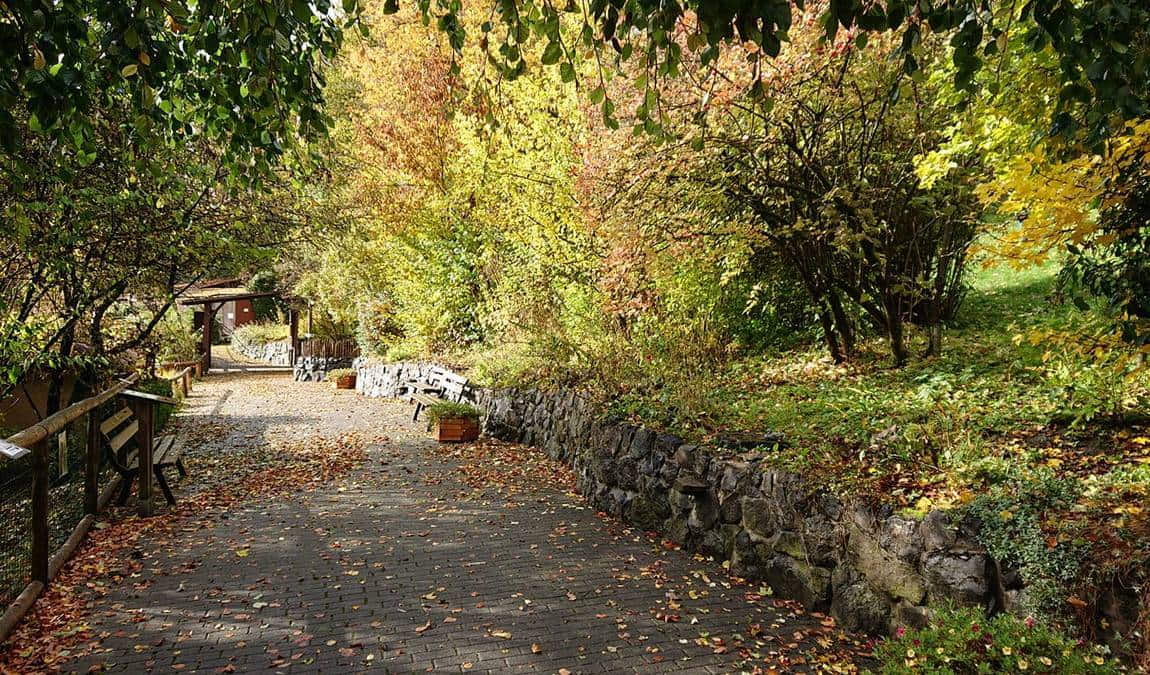 herborn gmbh zoo photo 1