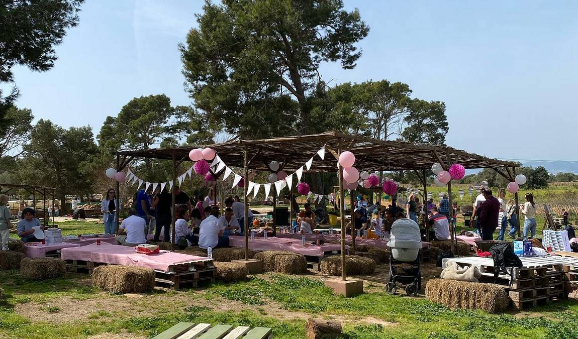 fresopolis mallorca photo 2