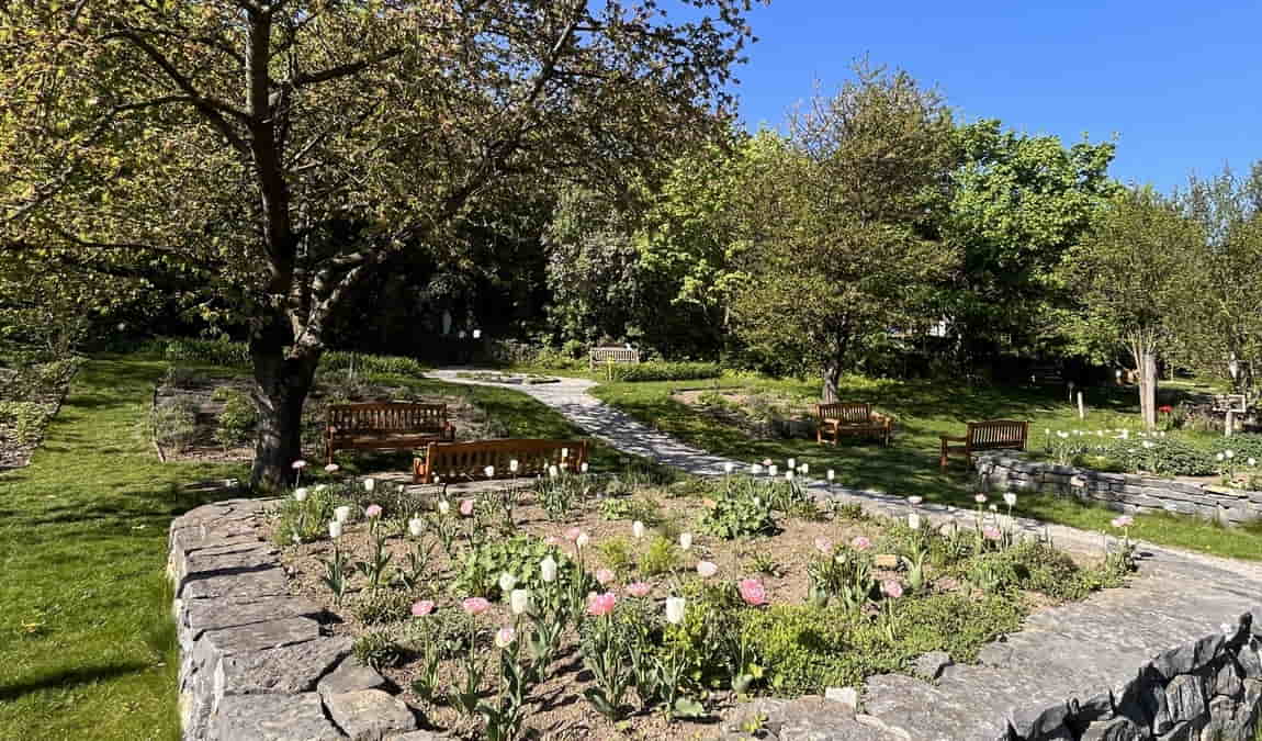 open garden photo 11