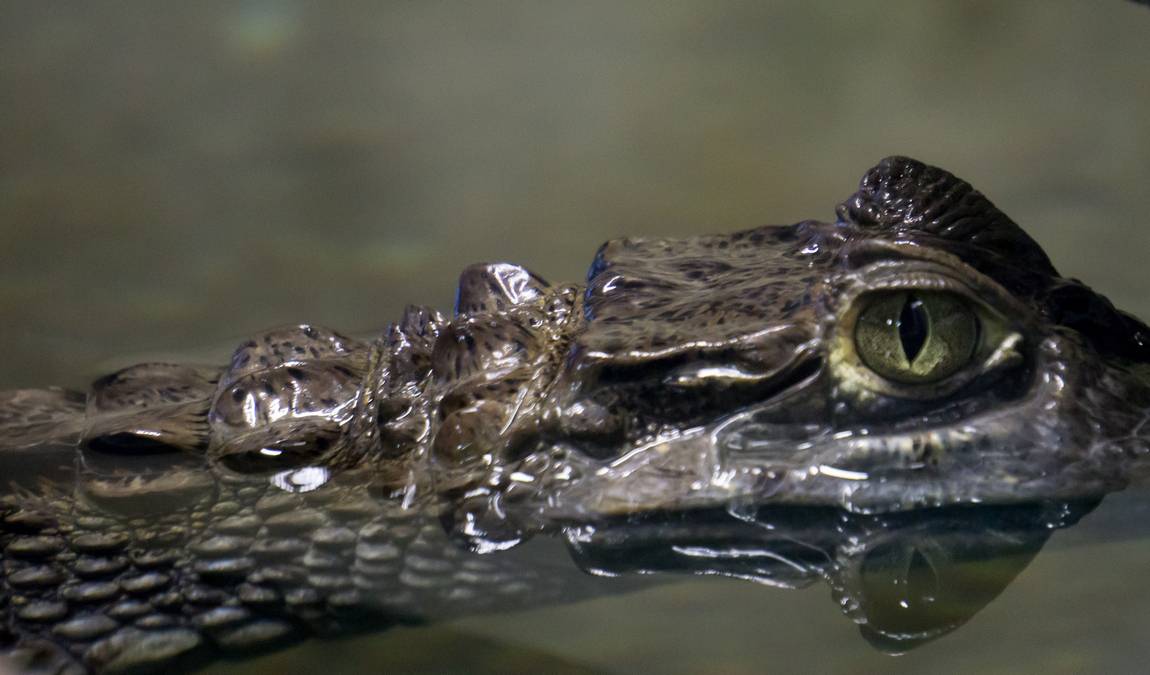 theme park marine aquarium photo 4