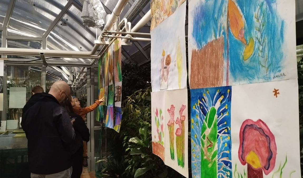 botanical garden of the faculty of science - masaryk university photo 9