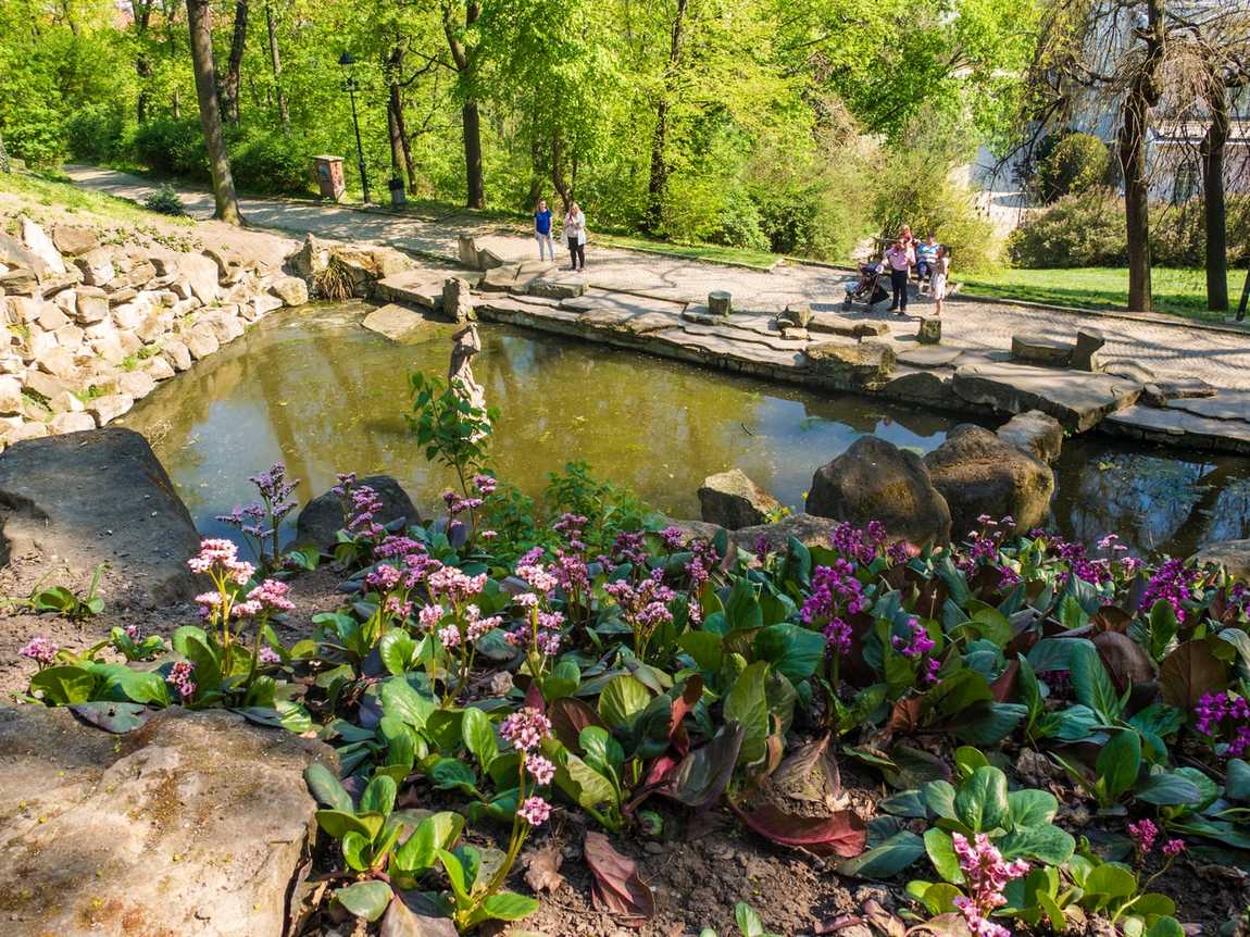 kinsky garden photo 2