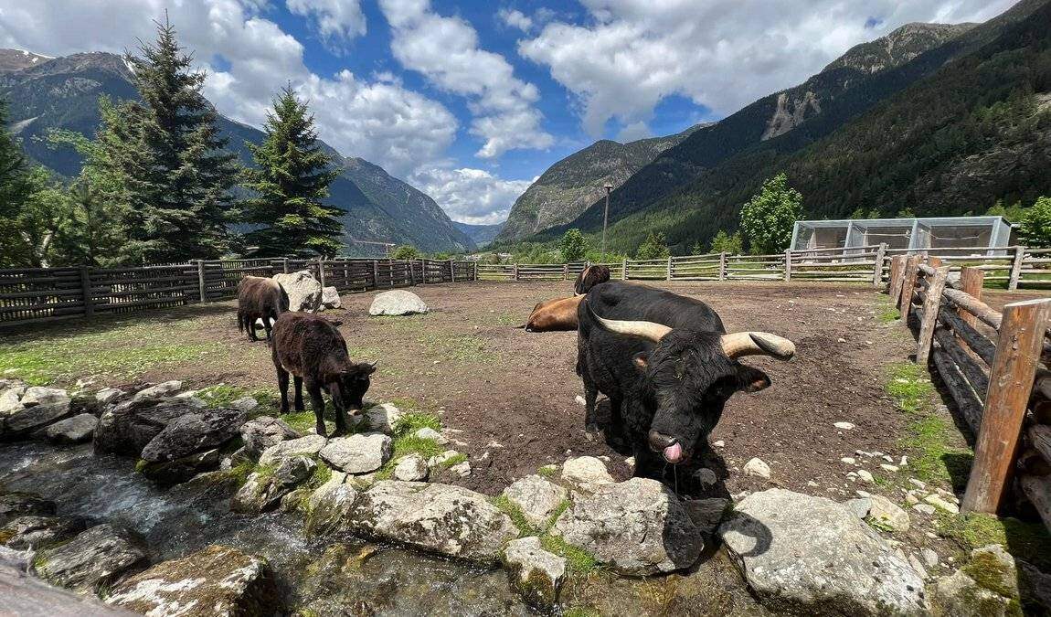 village ettsi  photo 1