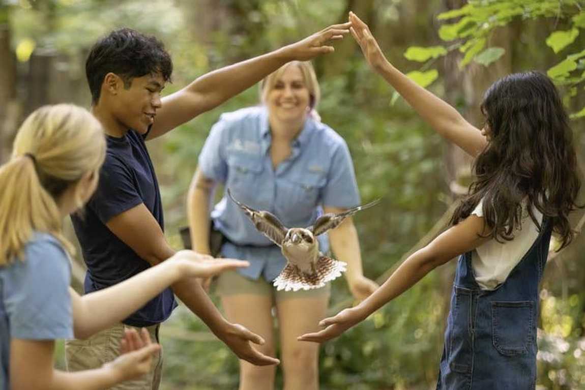 carolina raptor center photo 1