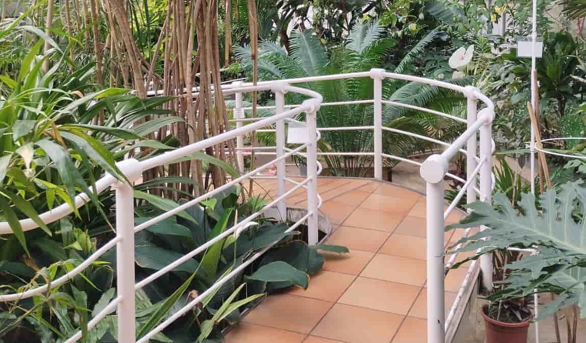 botanical garden of the faculty of science - masaryk university photo 11