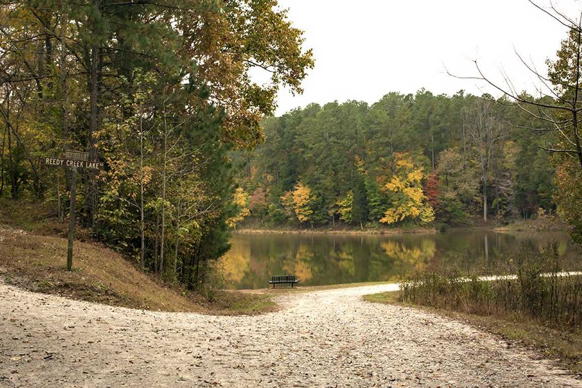 william b. umstead state park photo 1