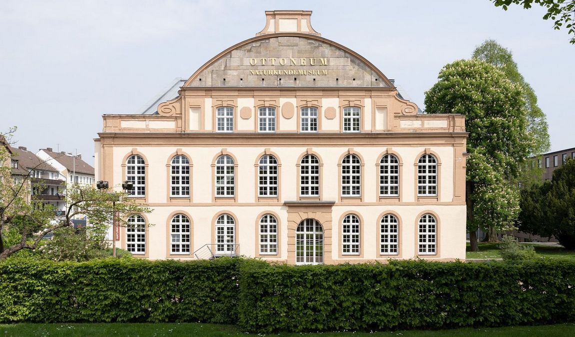 natural history museum photo 2