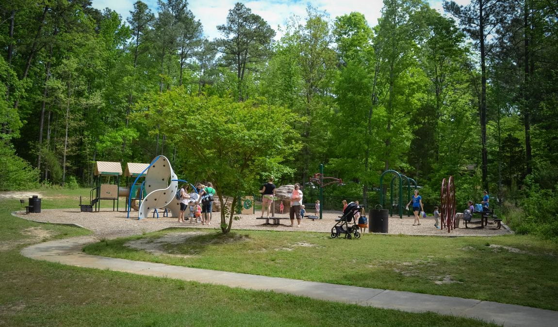 cornwallis road park photo 2