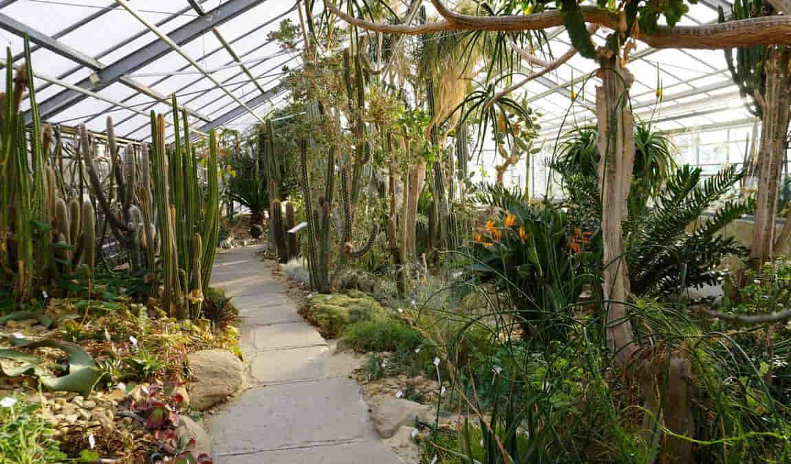 botanical garden photo 3