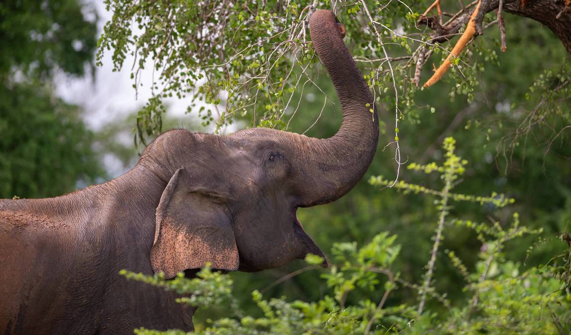 erlebnis zoo hannover photo 2