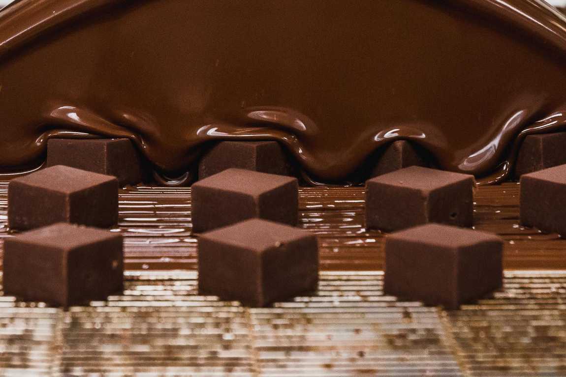 french broad chocolate factory & cafe photo 6