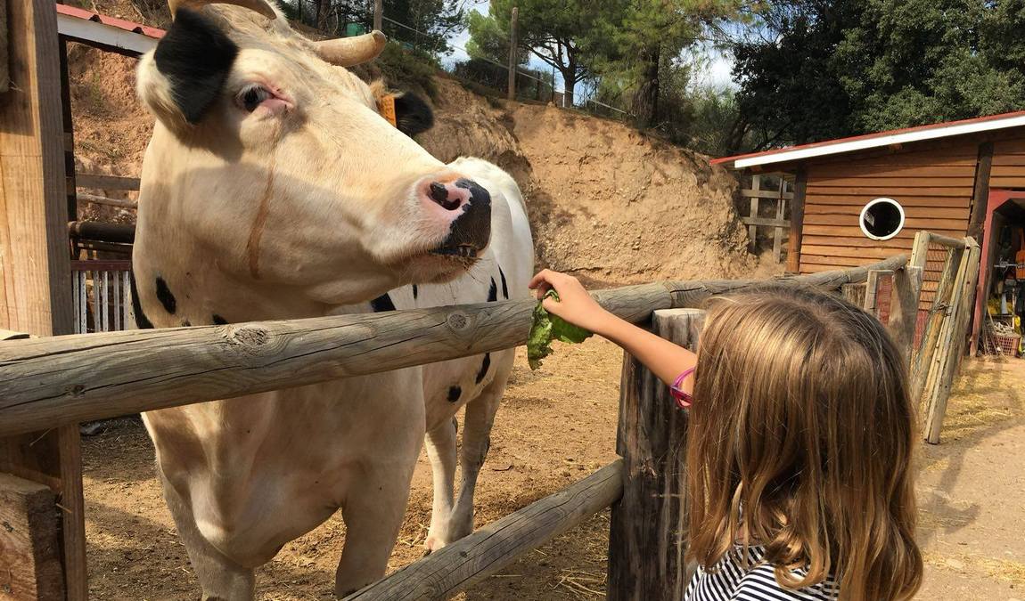 granja aventura park photo 6