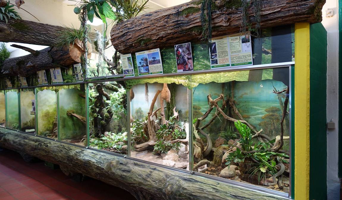 reptilienzoo happ photo 1