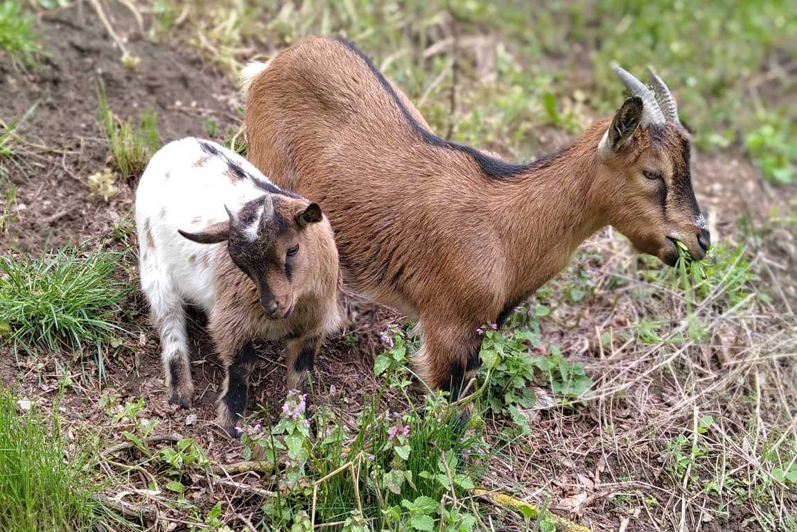 vrunoff park photo 3