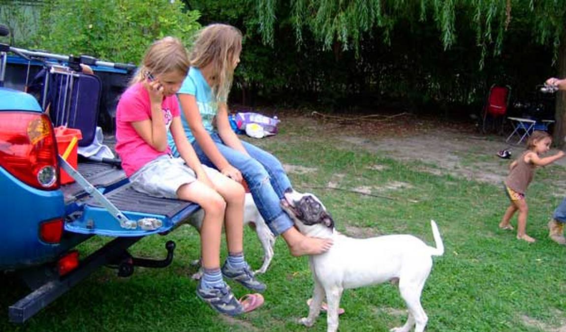 vienna kids farm photo 5