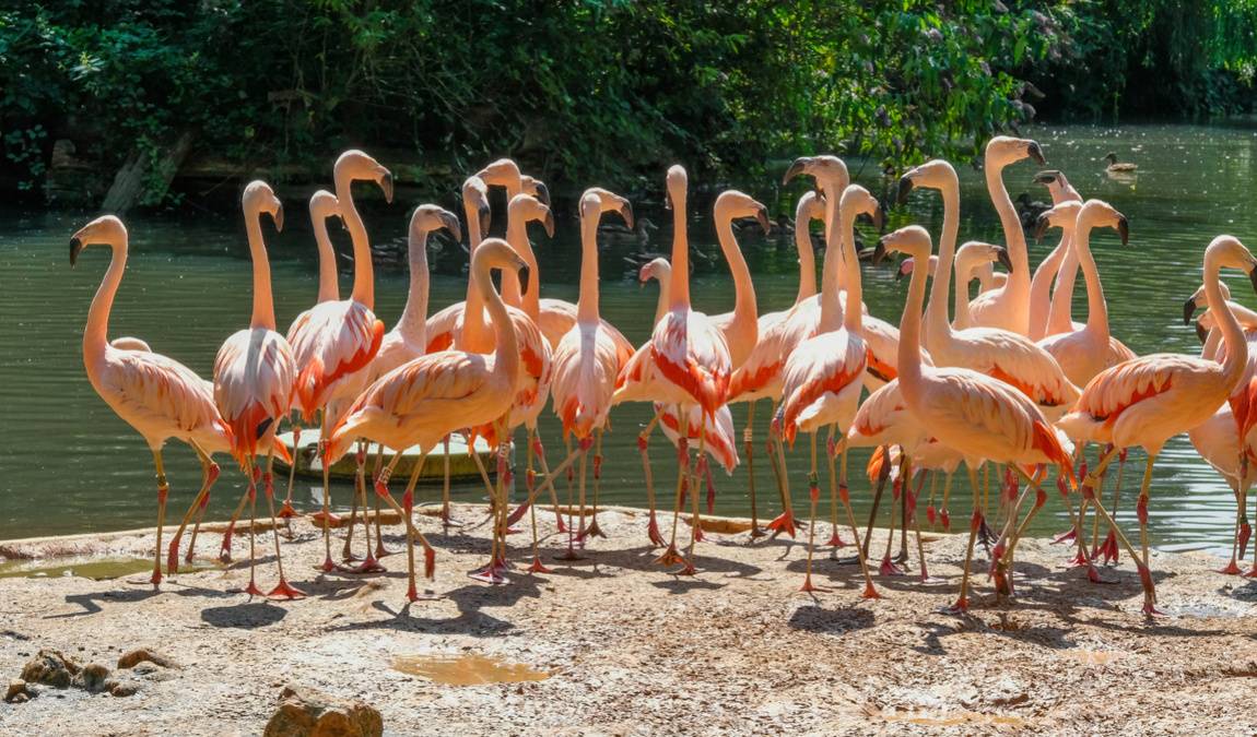 saarbrücken zoo photo 1