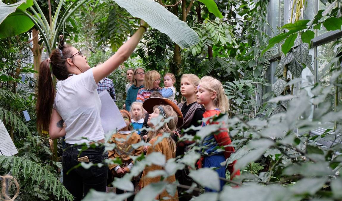 botanical garden of the university of ulm photo 5