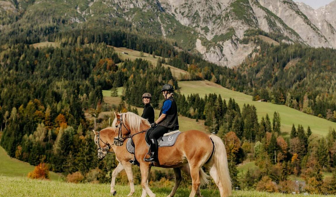 the minigut photo 6