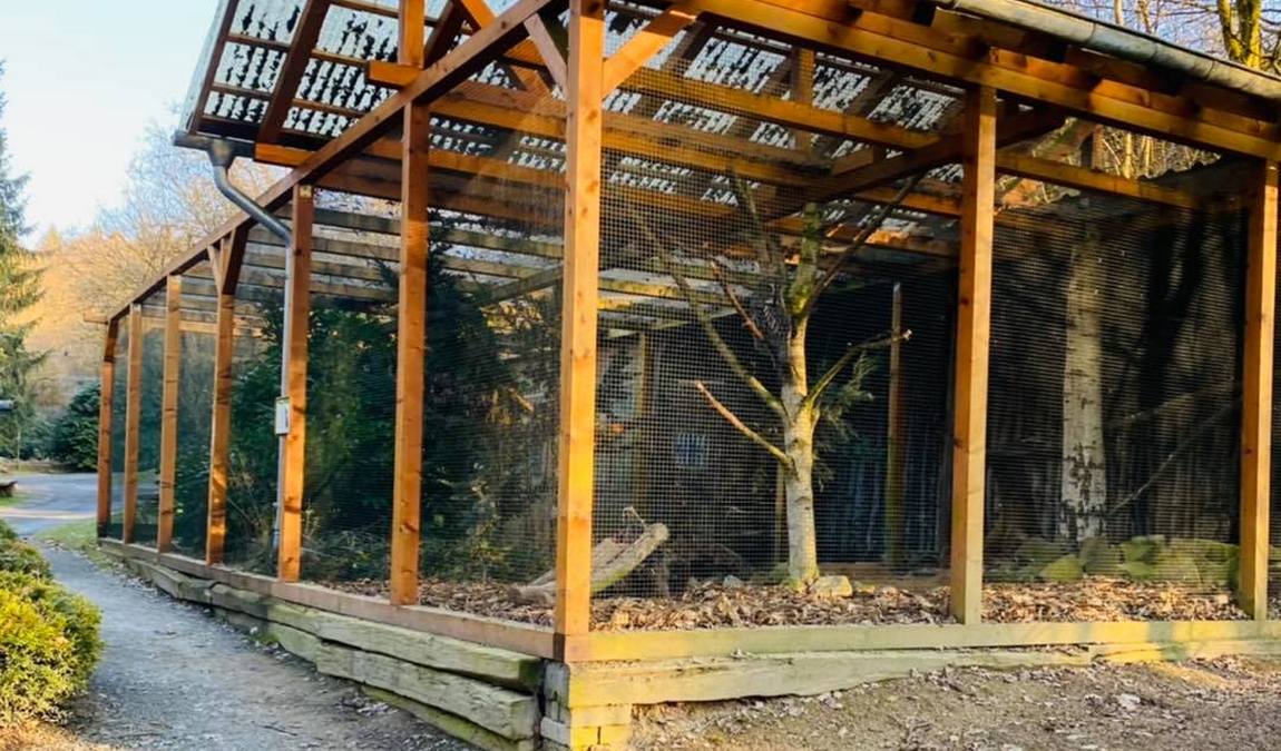 park of birds and monkeys eckenhagen photo 1