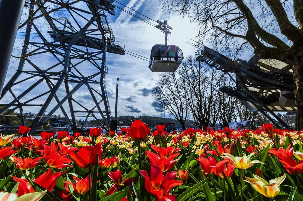 koblenz cable car photo 1