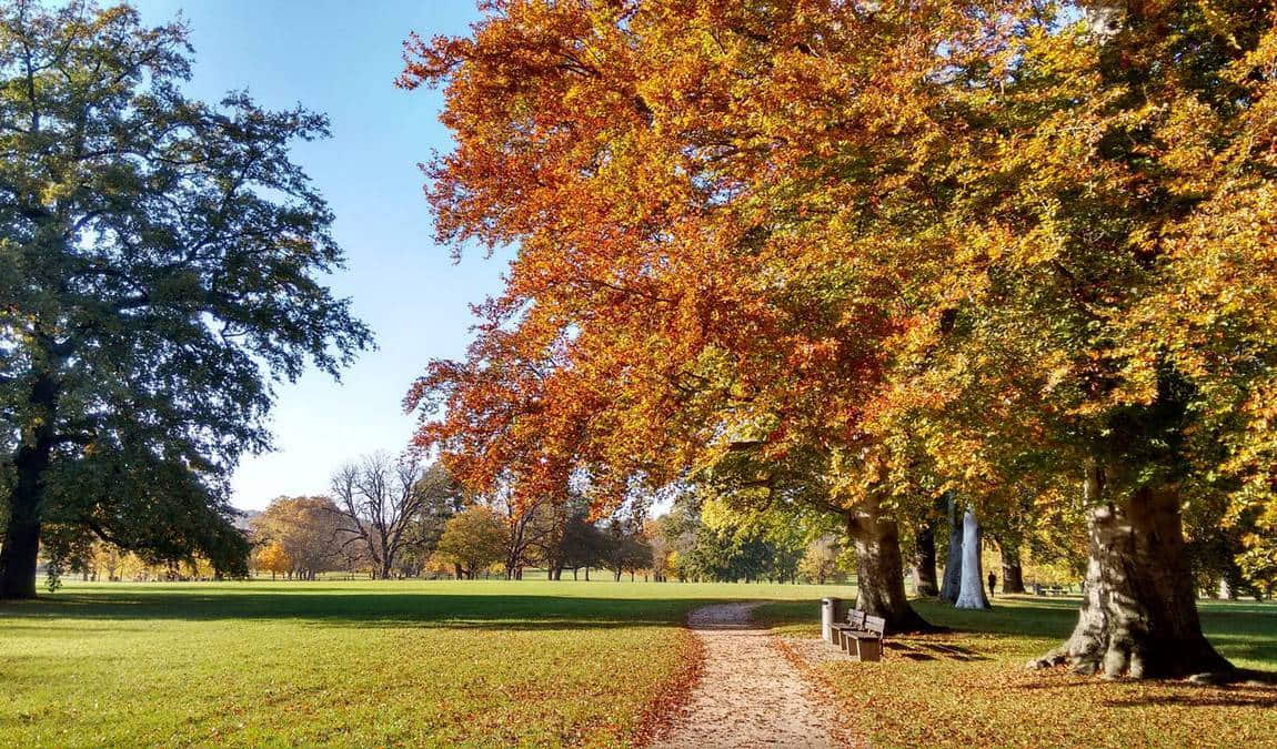 rosenstein park photo 2