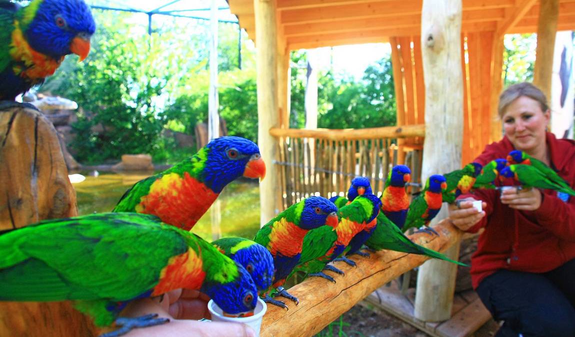 vogelpark marlow photo 1