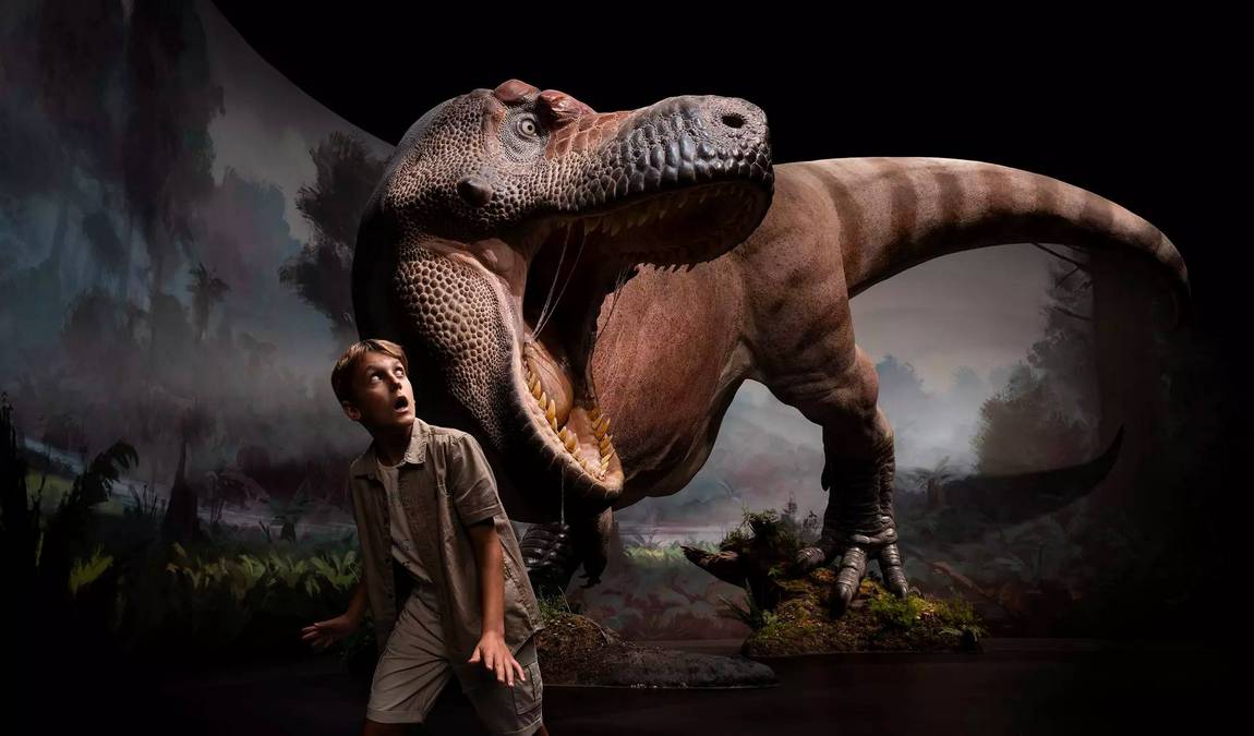 dinosauria museum photo 1