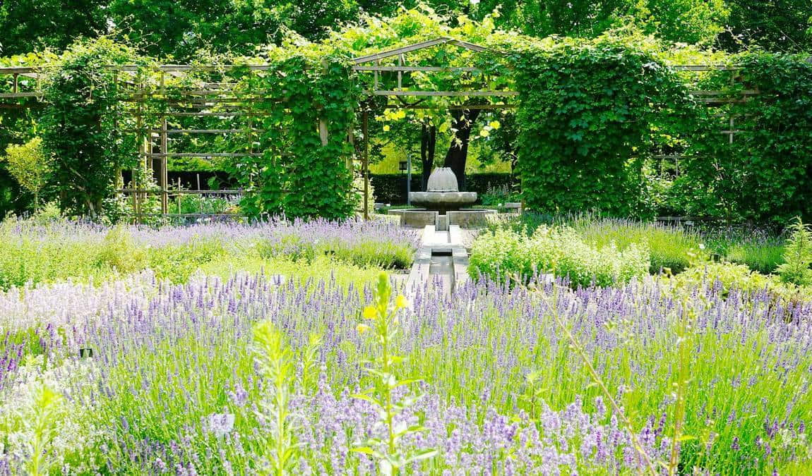 leipzig botanical garden photo 6