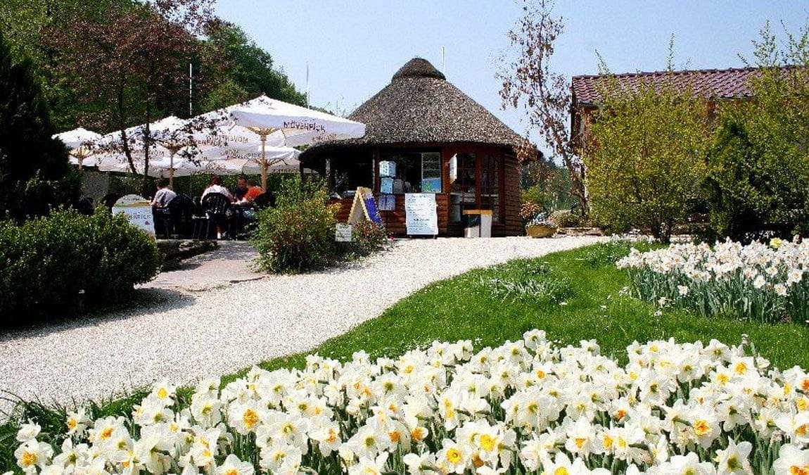 bird park heiligenkirchen photo 10