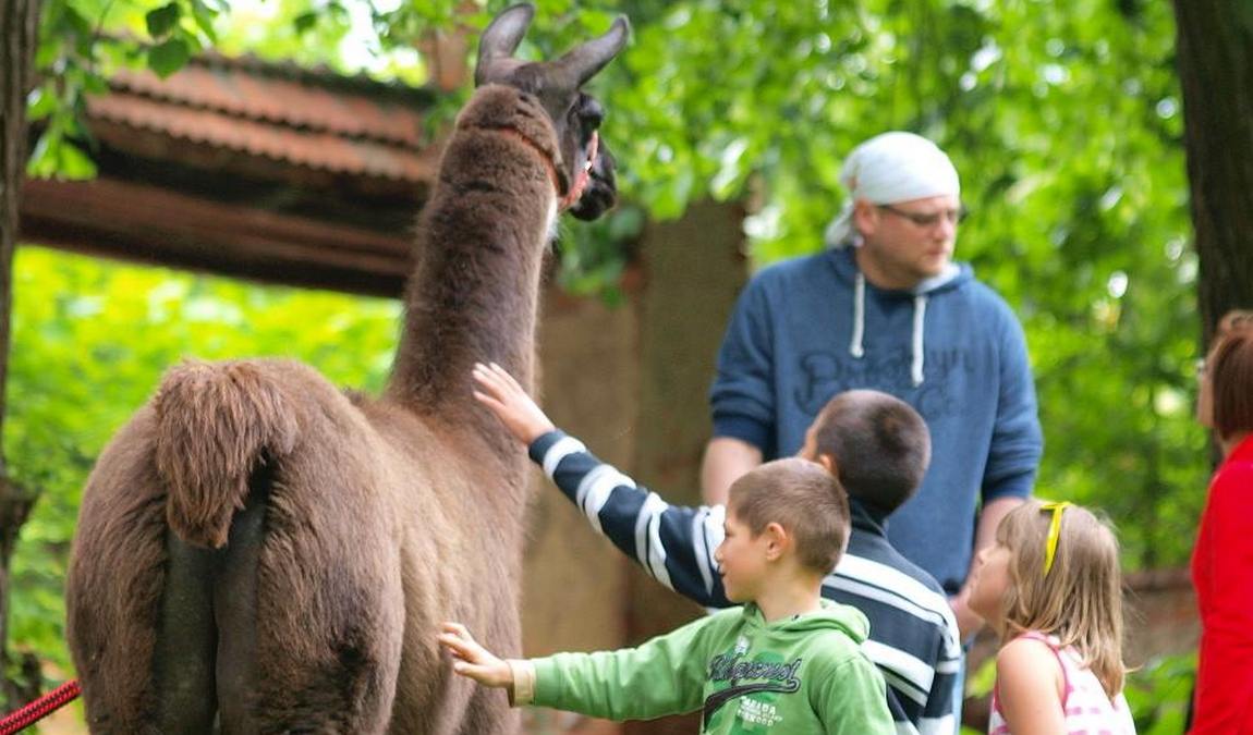 zookoutek u novacku photo 5