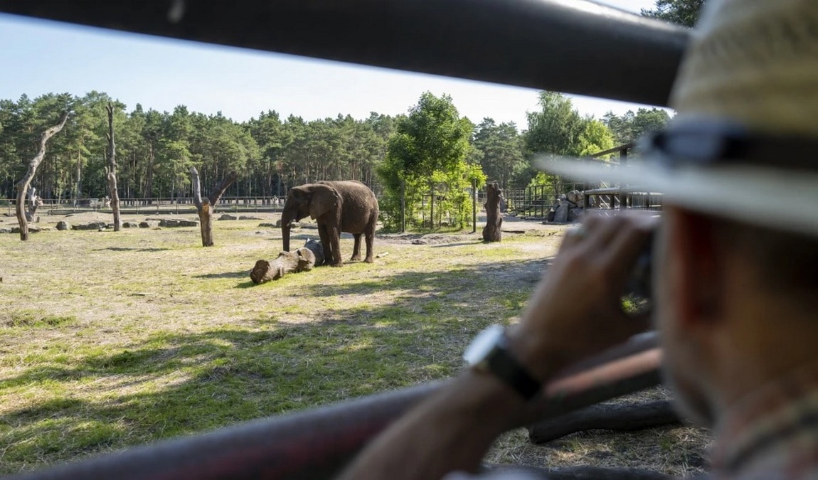 serengeti park hodenhagen photo 6