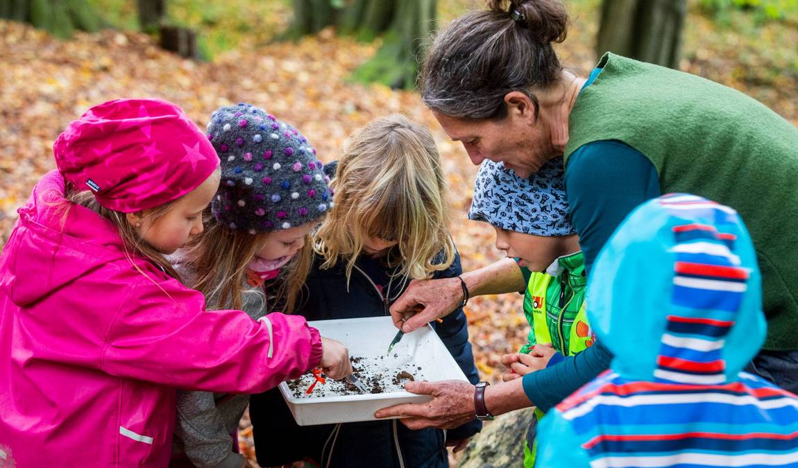 museum am schölerberg  photo 4