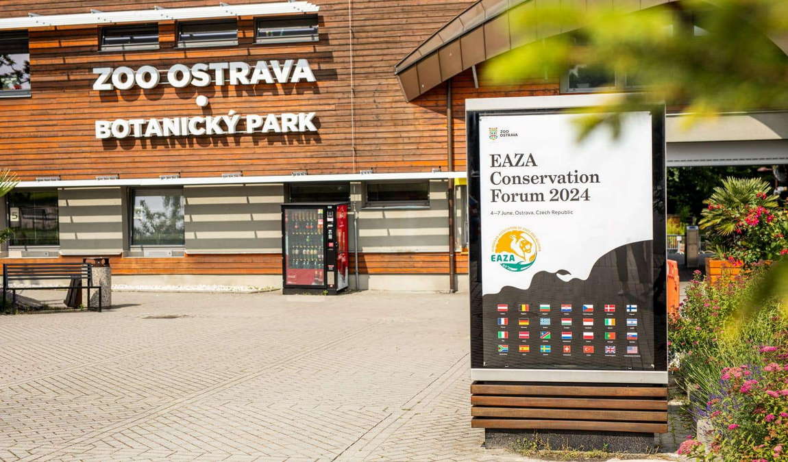 ostrava zoo photo 2