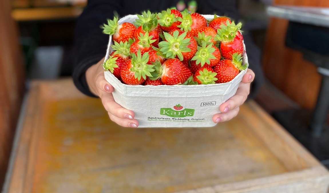 karl's adventure village roevershagen photo 7