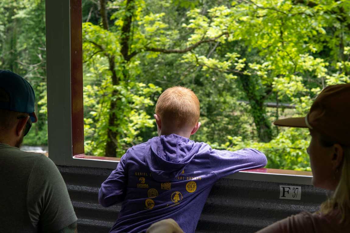 great smoky mountain railroad photo 6