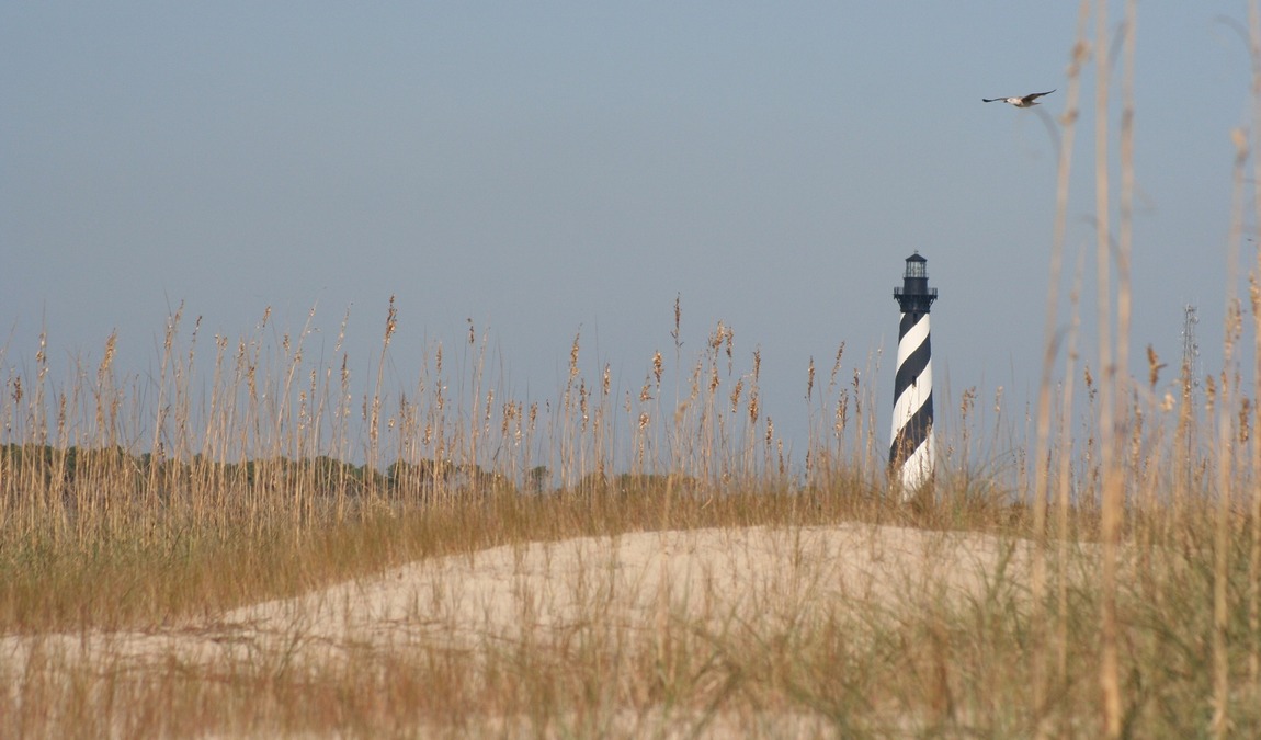 wings over water wildlife festival photo 7