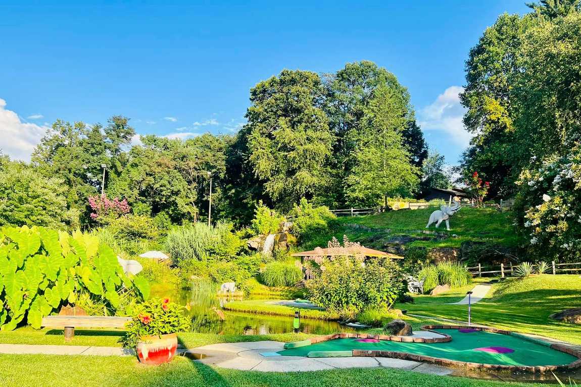 tropical gardens mini golf photo 7