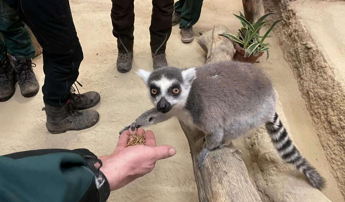 nature and adventure park buchenberg photo 4