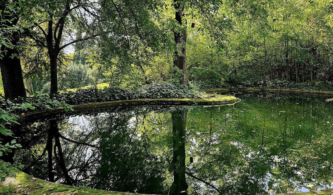 el capricho park photo 6