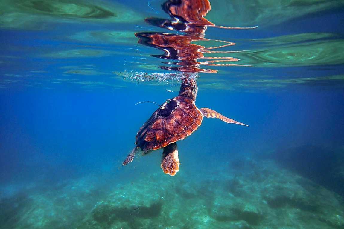 palma aquarium photo 4