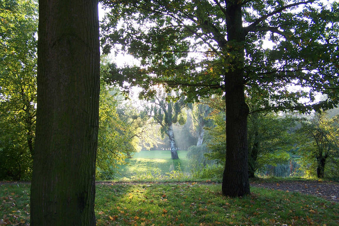 stadtpark rotehorn photo 2
