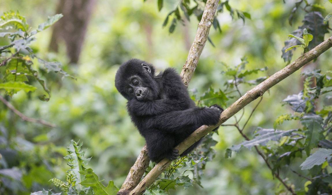 vivarium darmstadt photo 1