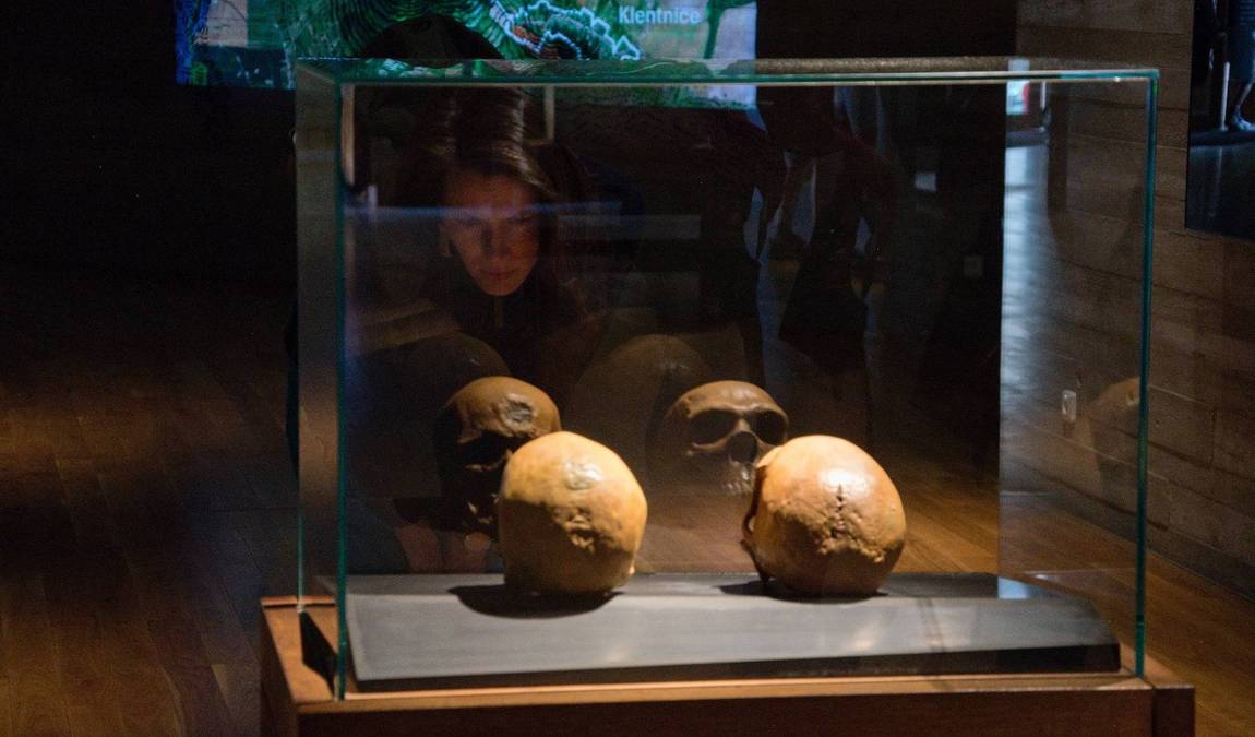 archeopark pavlov photo 6