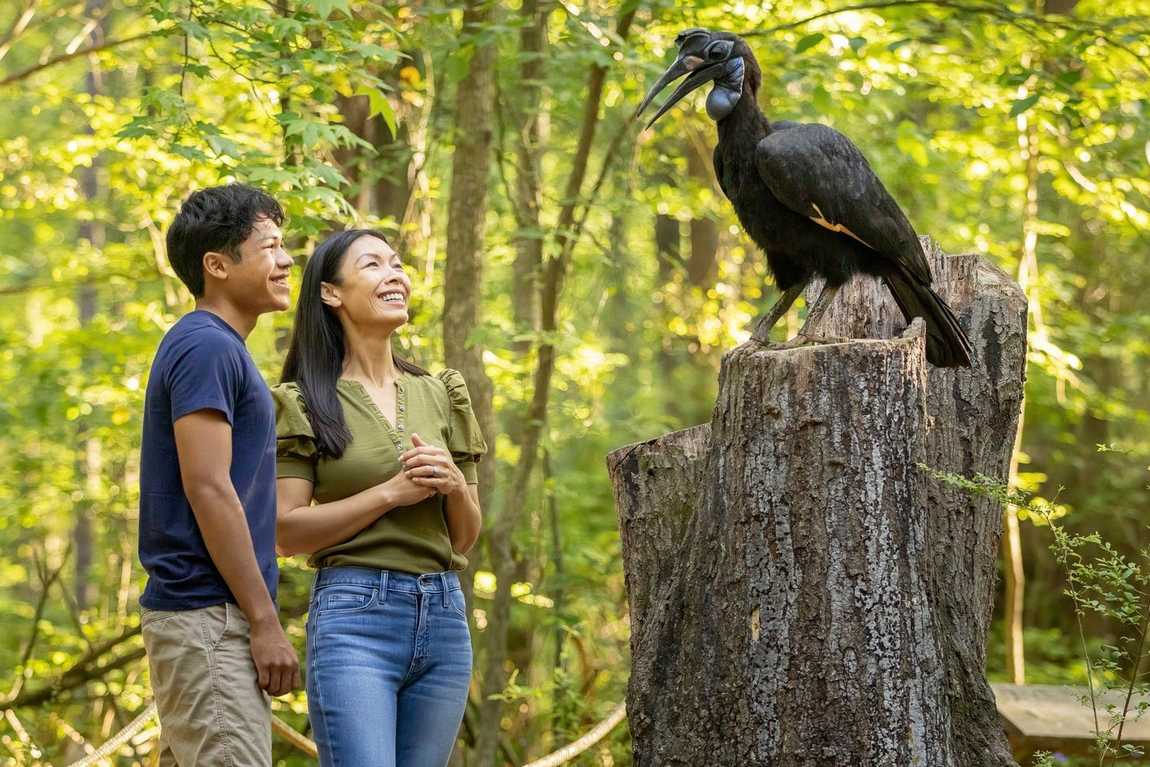 carolina raptor center photo 4