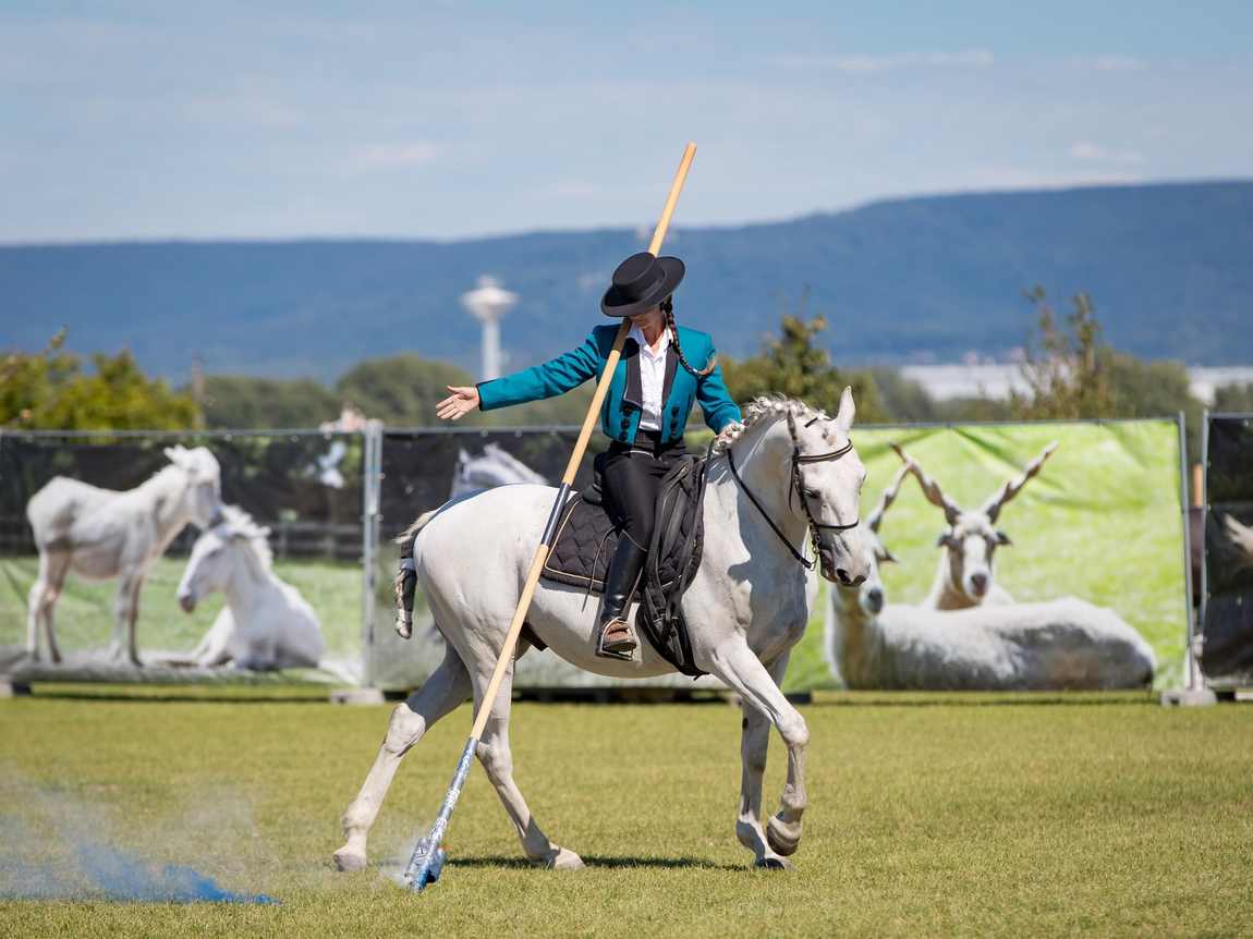 the schloss hof estate farm photo 3