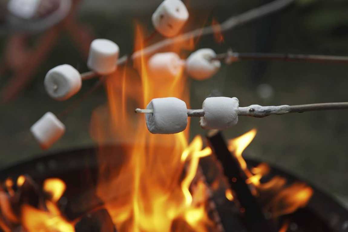 mcdowell nature center photo 4