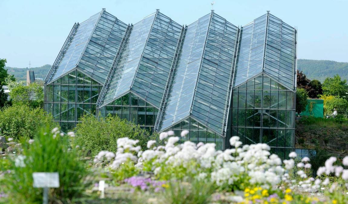 botanical garden osnabrück photo 5