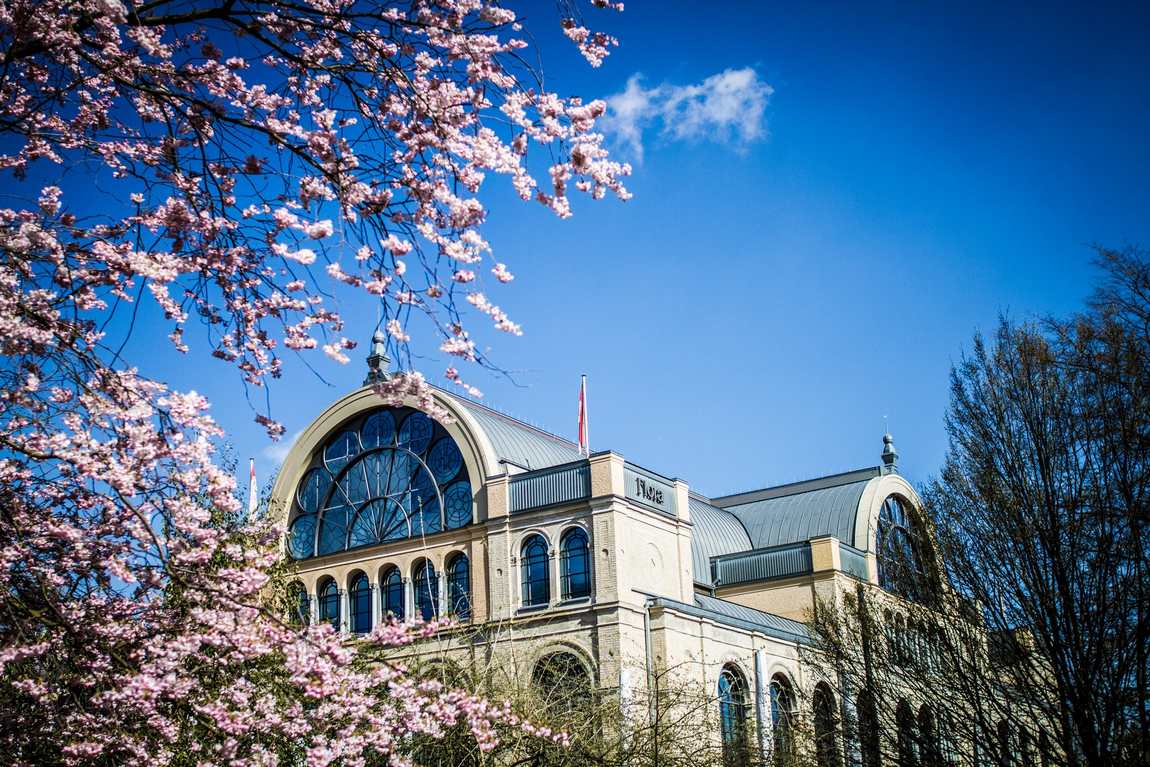 botanical garden flora photo 2