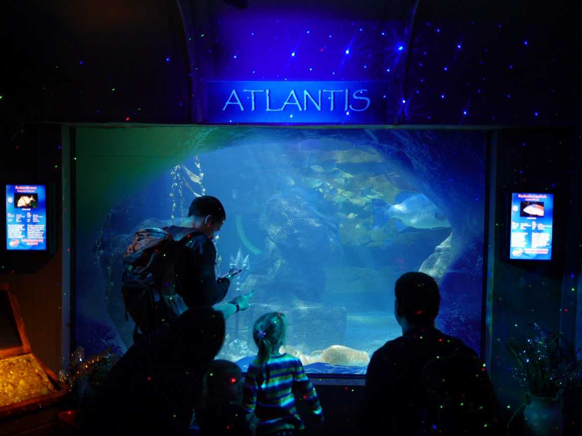 sea life berlin photo 1