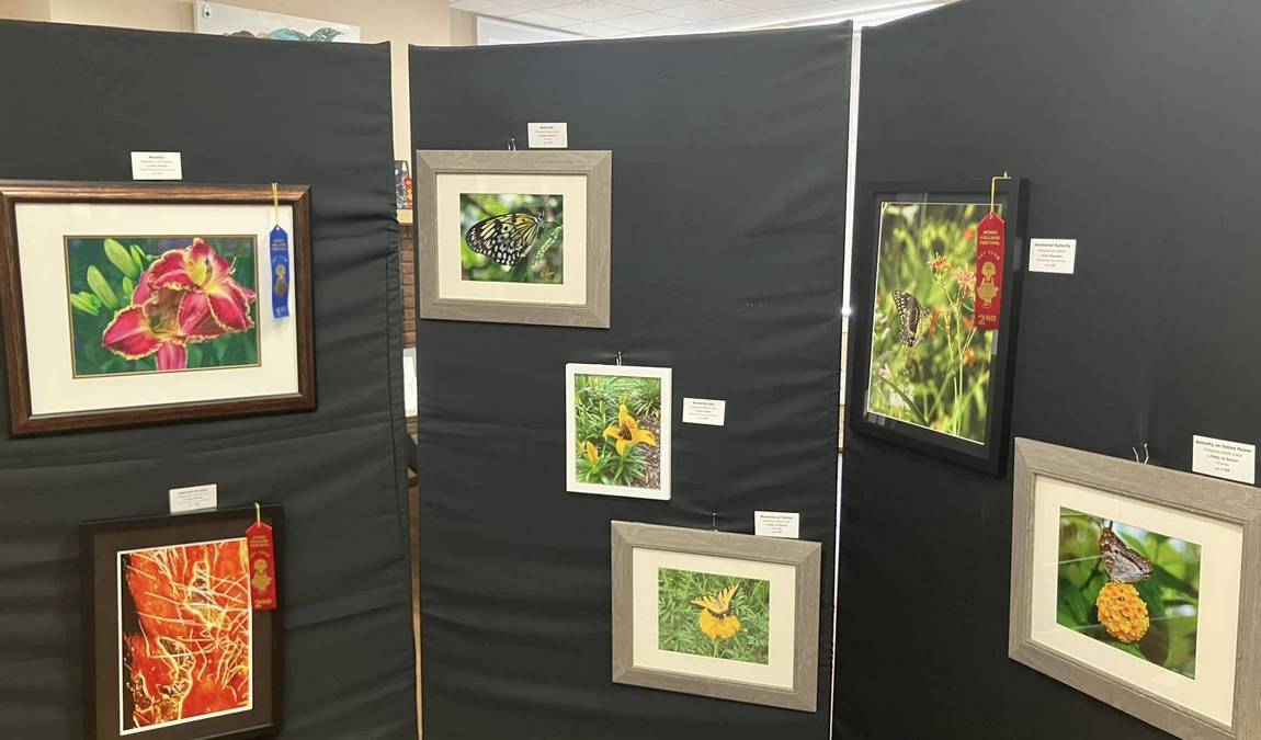 ayden collard festival photo 4